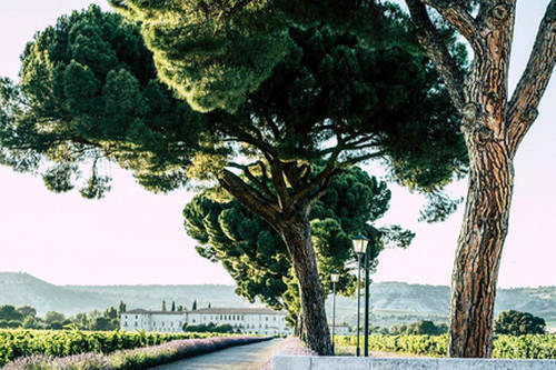 Abadia Retuerta LeDomaine Preview Photo
